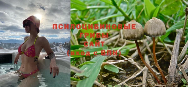 a pvp Алексин