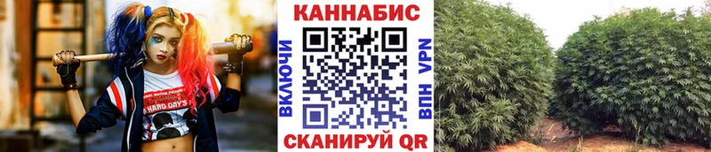 Каннабис Ganja  Курганинск 